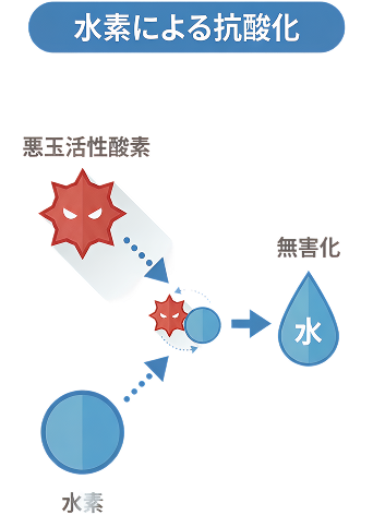 健康な高齢夫婦