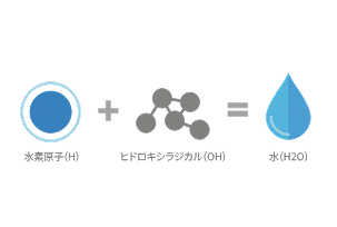 ヒドロキシラジカルを無害化