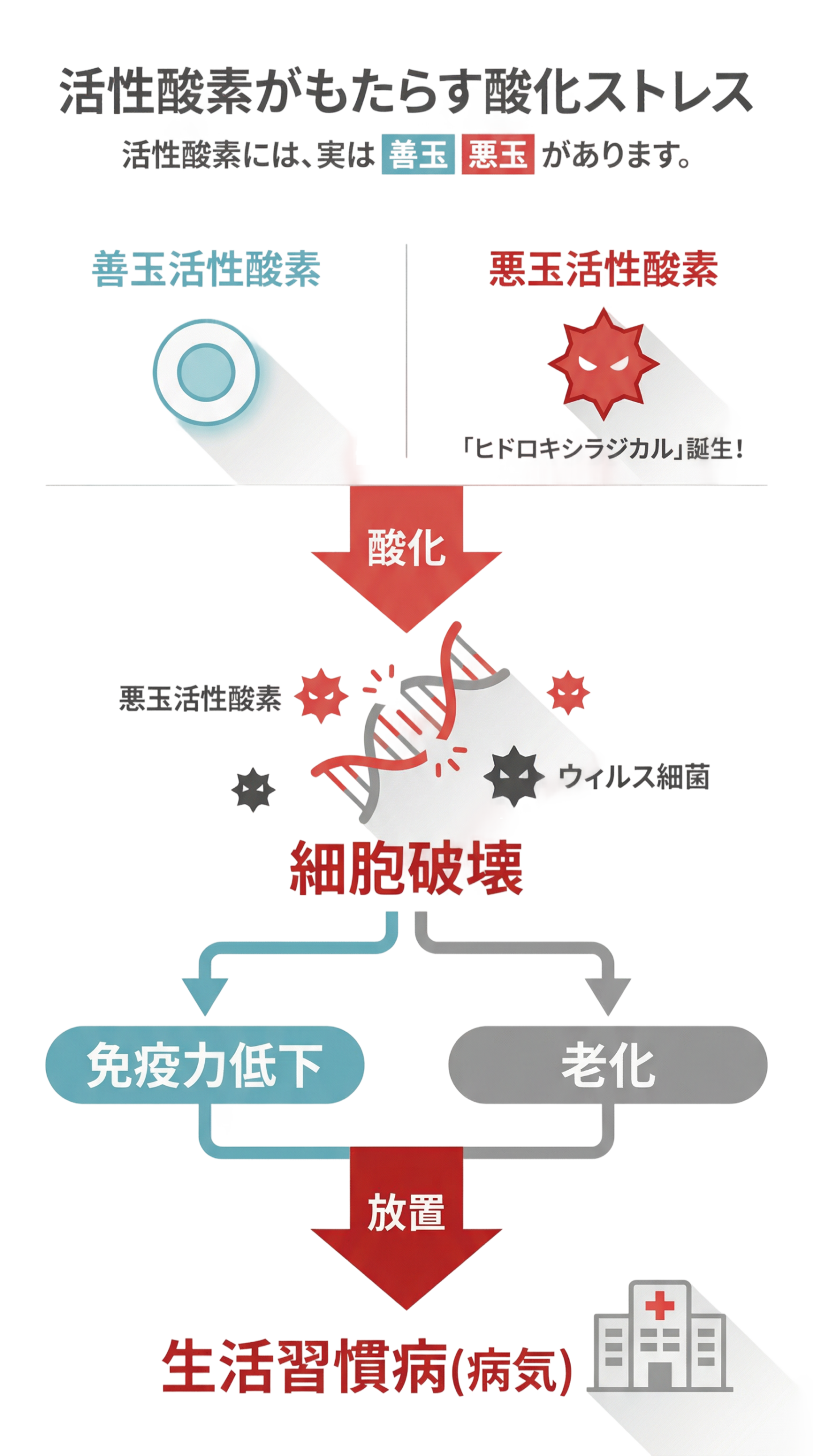 活性酸素インフォグラフィック
